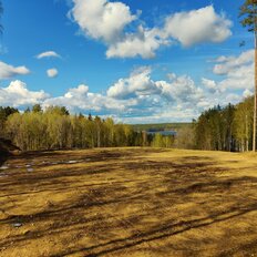 40 соток, участок - изображение 4