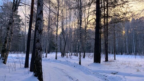 10 соток, участок 1 800 000 ₽ - изображение 44