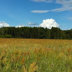 5 га, участок коммерческого назначения - изображение 1