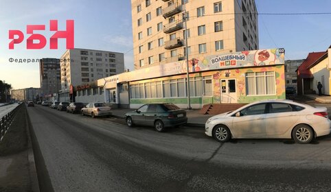 Снять квартиру с животными у метро Сокольники (красная ветка) в Москве и МО - изображение 2