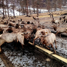 3400 га, участок коммерческого назначения - изображение 2