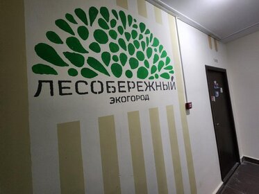 54,9 м², 3-комнатная квартира 9 250 000 ₽ - изображение 49