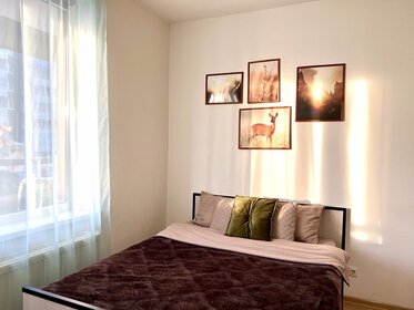 30 м², квартира-студия 2 399 ₽ в сутки - изображение 90