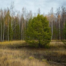 10 соток, участок - изображение 1