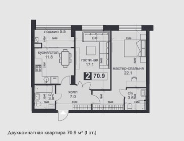 Квартира 70,9 м², 2-комнатная - изображение 1