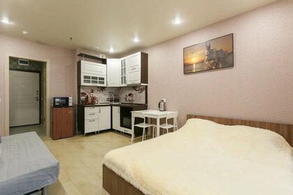 27 м², квартира-студия 1 900 ₽ в сутки - изображение 72