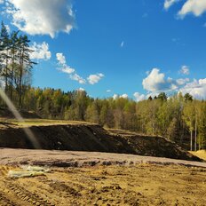 40 соток, участок - изображение 3