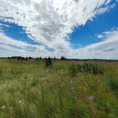 19 соток, участок - изображение 5