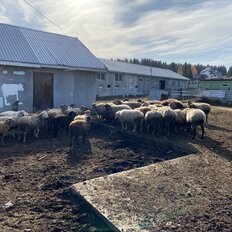 1200 м², производственное помещение - изображение 4