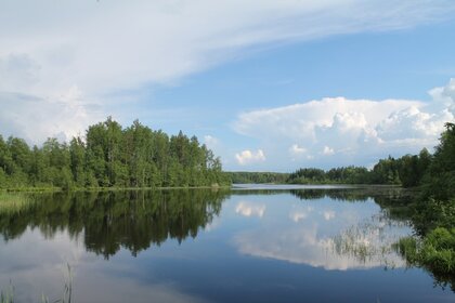 79 м² дом, 30 соток участок 400 000 ₽ - изображение 51