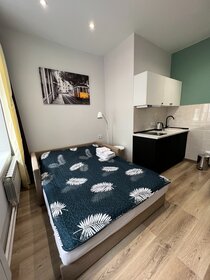 17 м², квартира-студия 3 000 ₽ в сутки - изображение 3