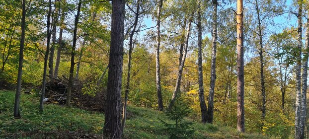 Купить коммерческую недвижимость в Багратионовском районе - изображение 34