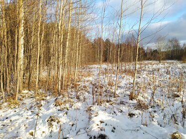 Купить дом в Берёзовском городском округе - изображение 40