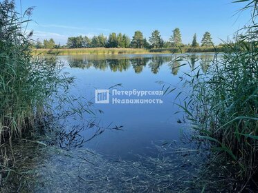 Купить квартиру с отделкой под ключ в Новоусманском районе - изображение 3