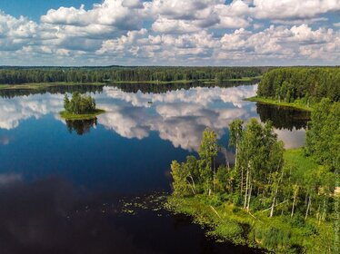 14200 соток, участок 2 500 000 ₽ - изображение 33