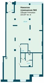 Квартира 223,9 м², 1-комнатная - изображение 1
