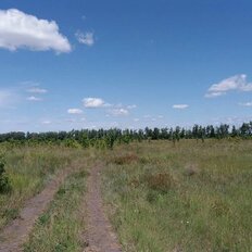 1 га, участок коммерческого назначения - изображение 1