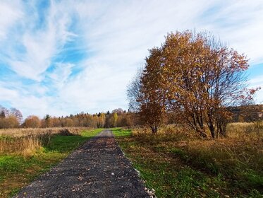 23 сотки, участок 2 300 000 ₽ - изображение 42