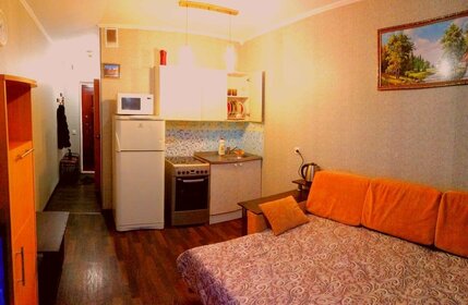 25 м², квартира-студия 1 500 ₽ в сутки - изображение 15