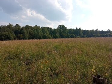 Снять однокомнатную квартиру рядом с парком у метро Ленинский проспект (красная ветка) в Санкт-Петербурге и ЛО - изображение 6