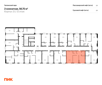 Квартира 56,8 м², 2-комнатная - изображение 2