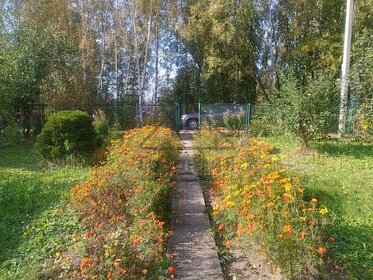 Снять помещение свободного назначения у метро Томилино в Москве и МО - изображение 1