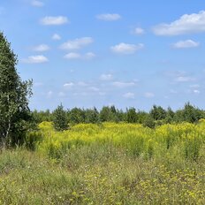 20 га, участок - изображение 1