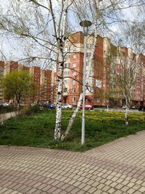 Снять однокомнатную квартиру с высокими потолками у метро Кучино в Москве и МО - изображение 2