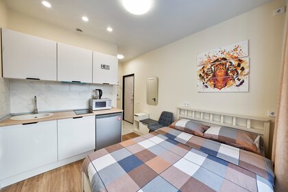 25 м², квартира-студия 2 500 ₽ в сутки - изображение 39