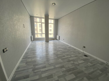 45 м², 1-комнатная квартира 5 000 001 ₽ - изображение 49