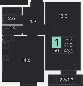 Квартира 43,1 м², 1-комнатная - изображение 1