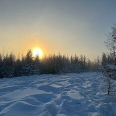 12 соток, участок - изображение 1