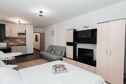 31 м², квартира-студия 3 500 ₽ в сутки - изображение 73