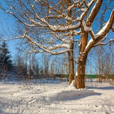 15 соток, участок - изображение 4