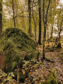 Купить квартиру в блочном доме в Шпаковском районе - изображение 6