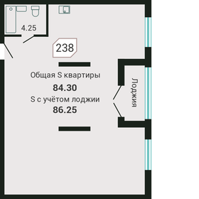 Квартира 86,3 м², студия - изображение 1