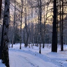 16 соток, участок - изображение 1