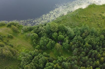 56 га, участок 2 000 000 ₽ - изображение 46