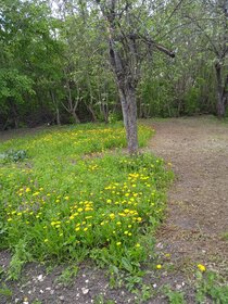 Купить однокомнатную квартиру в доме на ул. Писателя Знаменского в Краснодаре - изображение 12