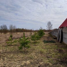 10 соток, участок - изображение 2