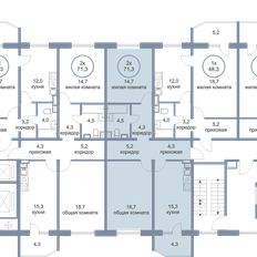 Квартира 71,3 м², 2-комнатная - изображение 2