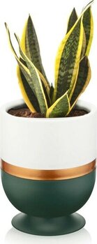 ToXA Kordon Dik Model Ayaklı Saksı Plastik Drenajlı Çiçek Saksısı - 4 Litre Oval - Yeşil