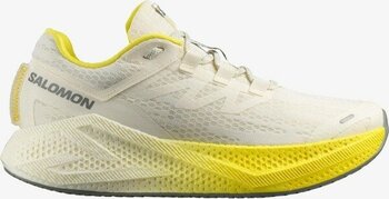 Salomon Aero Glıde 3 Erkek Koşu Ayakkabısı Vanilla Ice L47975900 - Krem - 45,5