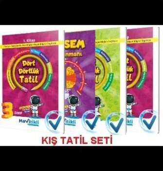 Mavitikli Yayıncılık Dört Dörtlük Tatil Kitabı 3. Sınıf Türkçe Kitap