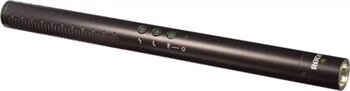 Rode NTG-4 Kablolu XLR Mikrofon