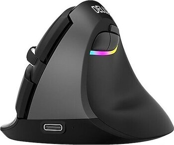 Delux M618 Mini Siyah Kablosuz Mouse