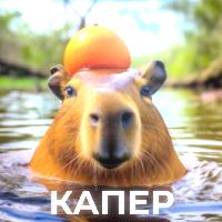 капир — Shedevrum user profile