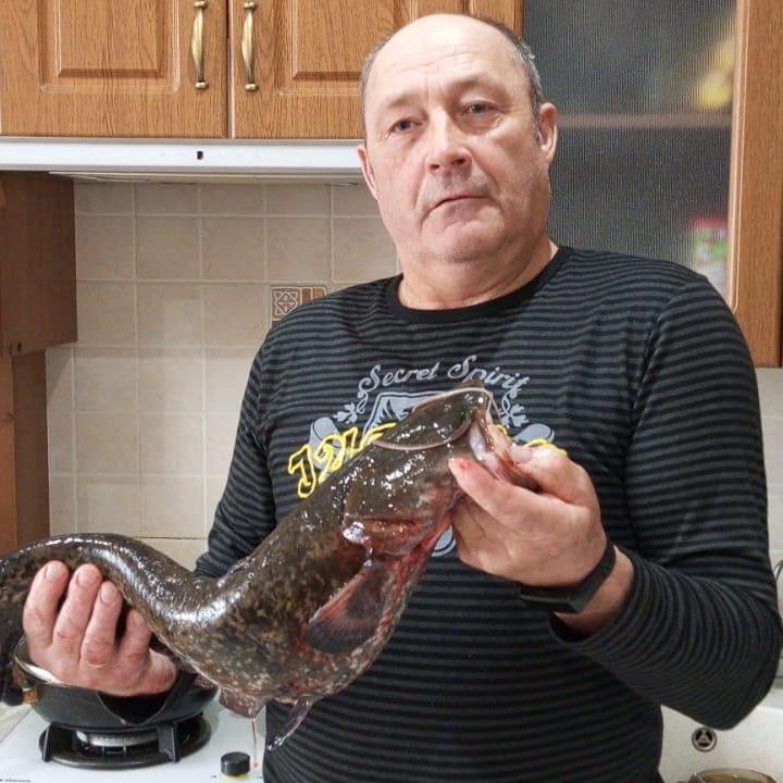 Иван Истомин — профиль пользователя в Шедевруме