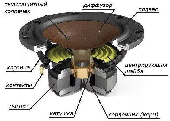 Устройство динамика - фотография 3