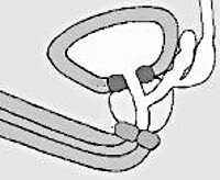 Секс видео жалап